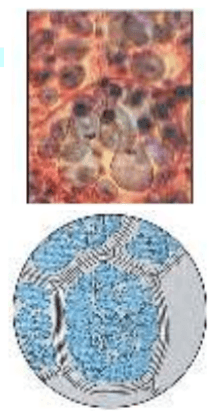 Задание рисунок 1